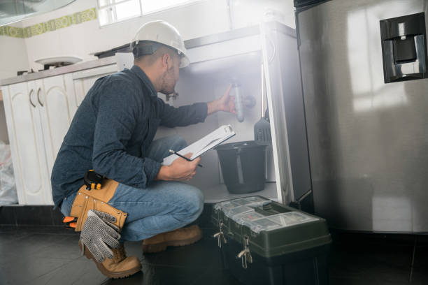 Best Water Softener Installation  in Cheval, FL