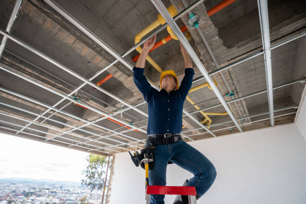 Best 24-Hour Plumber Near Me  in Cheval, FL