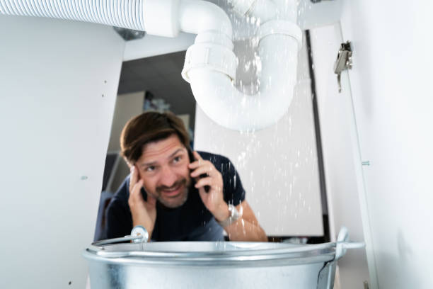 Best Water Leak Repair  in Cheval, FL