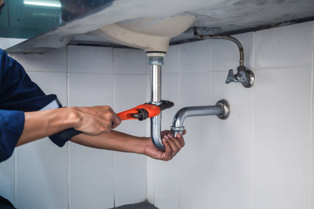Best Clogged Drain Plumber  in Cheval, FL