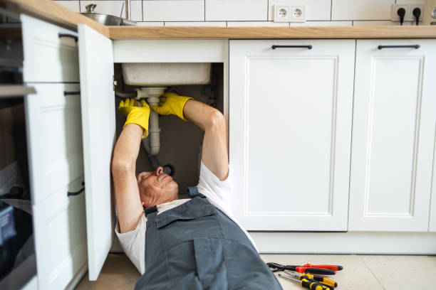 Best Water Heater Repair  in Cheval, FL
